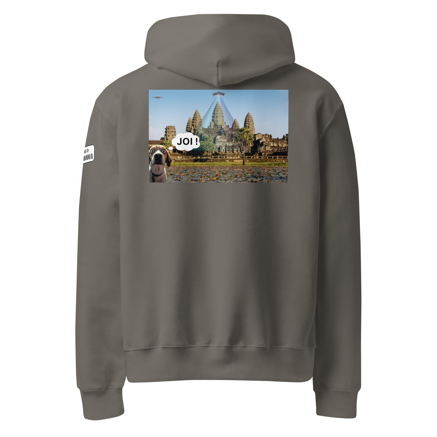 JOI Hoodie – Funny Dog UFO Angkor Wat Design | Allstar Kustoms