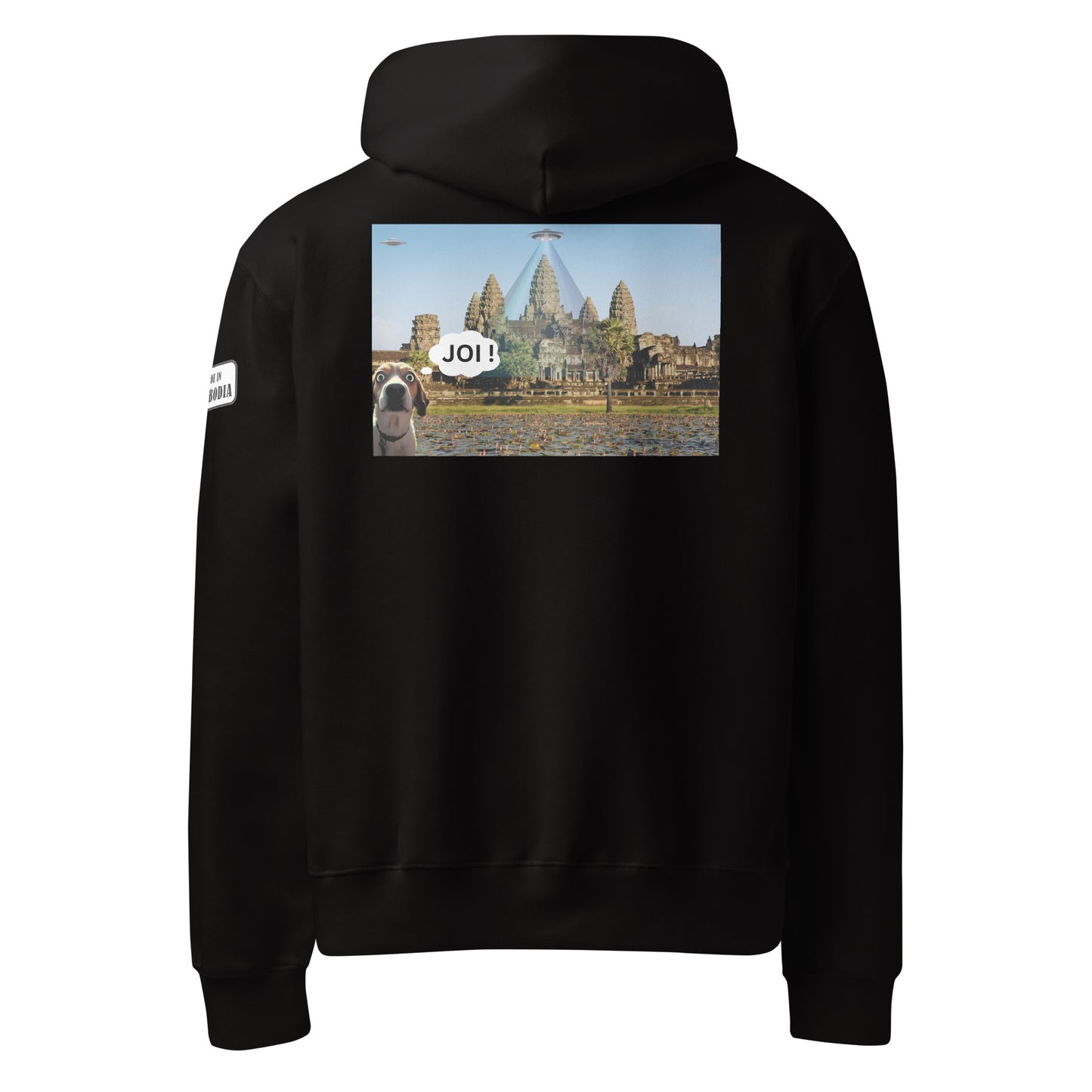 JOI Hoodie – Funny Dog UFO Angkor Wat Design | Allstar Kustoms